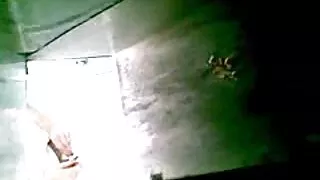 Си го лиже курот