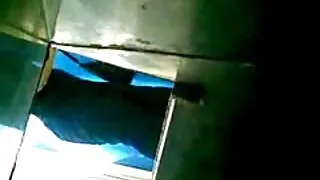 Латински пиле дава на бел тросед