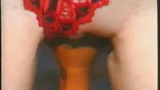 Го зеде латинскиот и го стави во скут