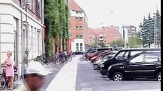 Пиле што седи на кур